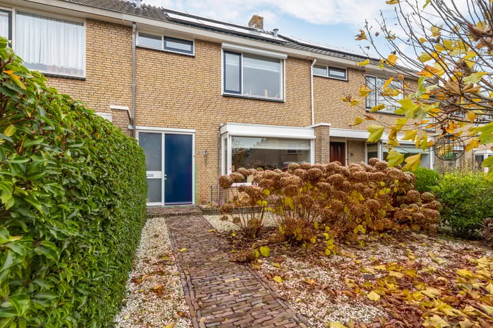 Foto 6 van Kameleonring 6