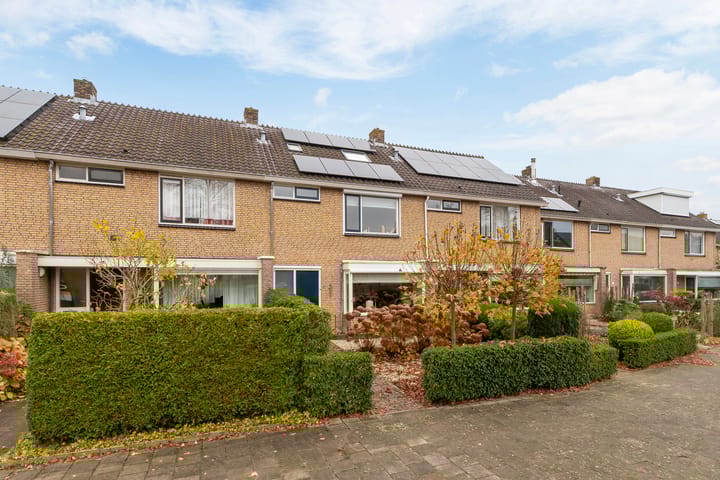 Foto 36 van Kameleonring 6