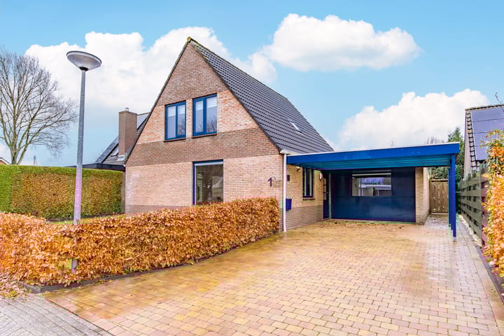 Foto 1 van De Lijnstukken 1