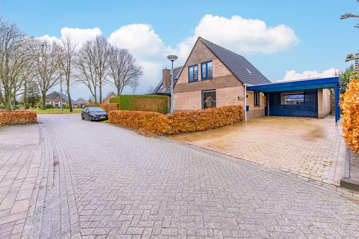 Foto 6 van De Lijnstukken 1