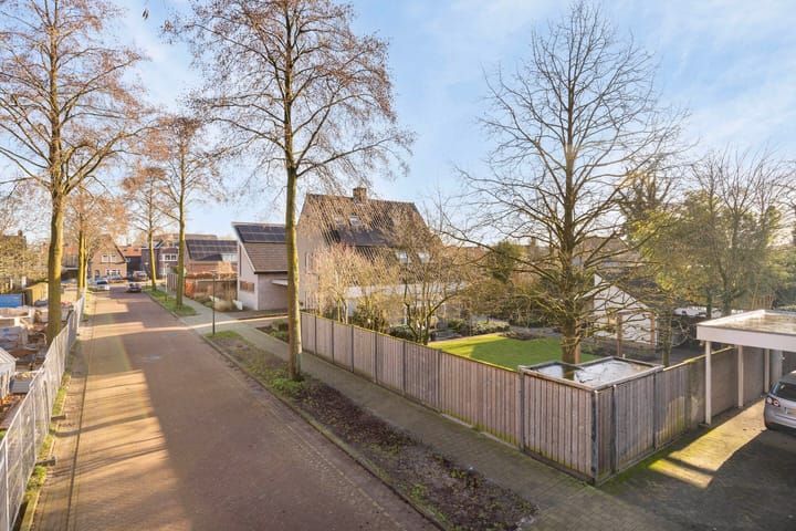 Foto 48 van Vogelwikke 2