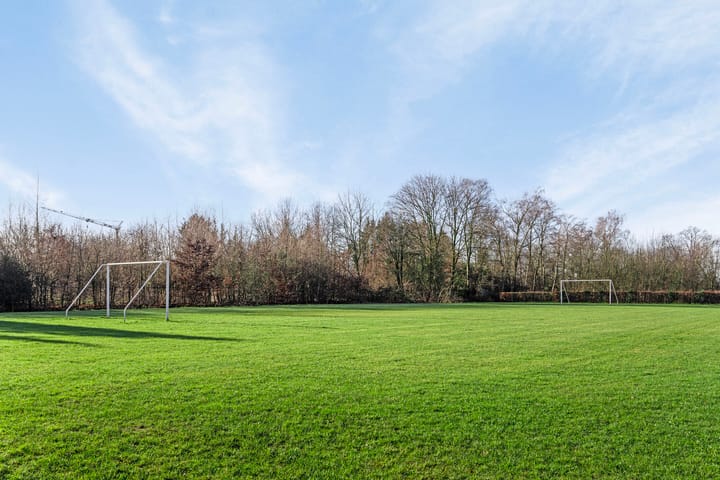 Foto 49 van Vogelwikke 2