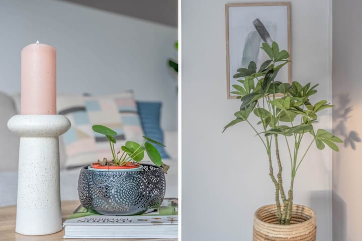 Foto 7 van Ruigenhoek 46