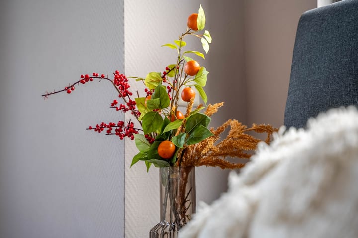 Foto 9 van Ruigenhoek 46