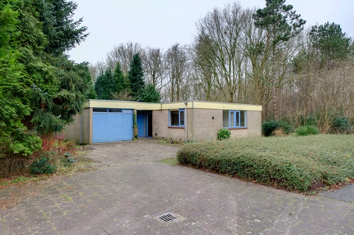 Foto 2 van Johan Willem Frisolaan 40