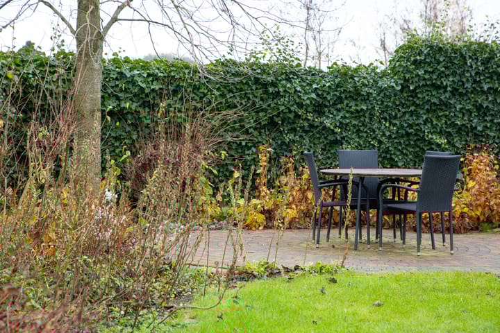 Foto 34 van Bernhard-Wemmer-Strasse 5