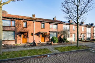 Van Halenstraat thumbnail