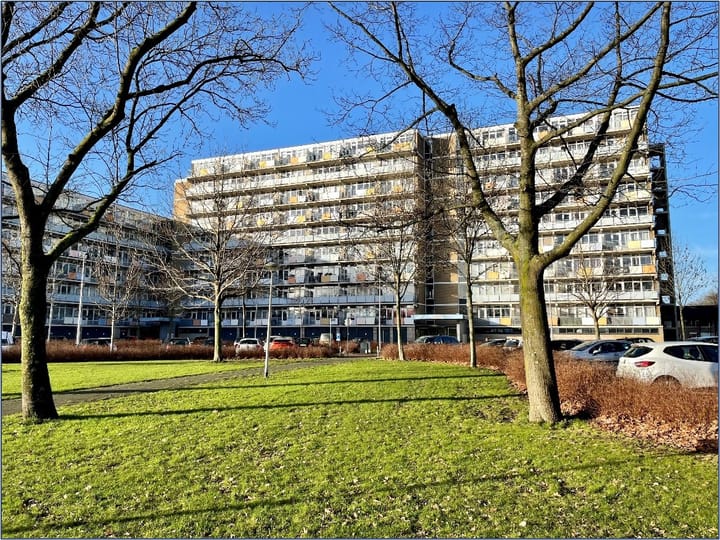 Foto 2 van Lupinesingel 450