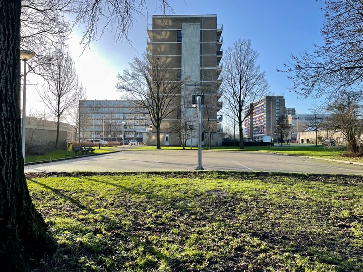 Foto 3 van Lupinesingel 450