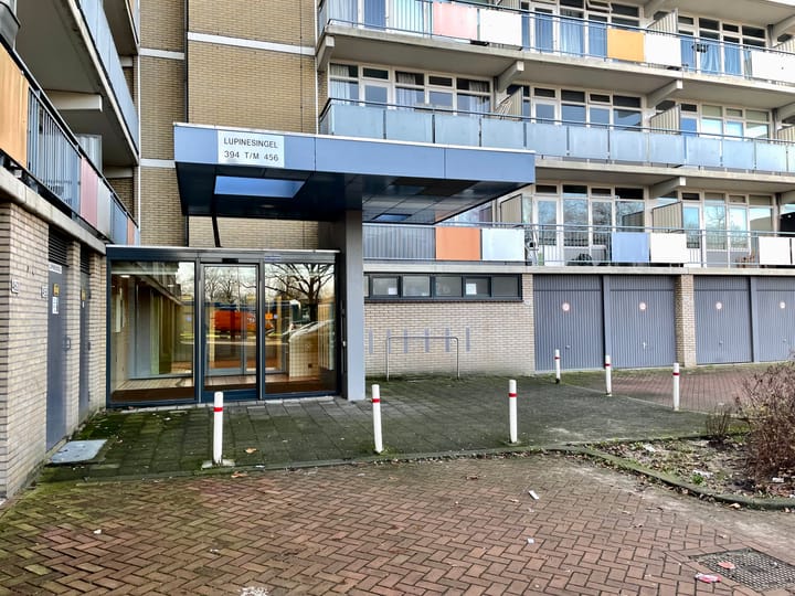 Foto 4 van Lupinesingel 450