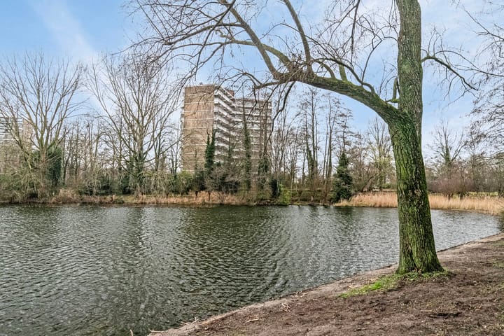 Foto 1 van Valkestein 315