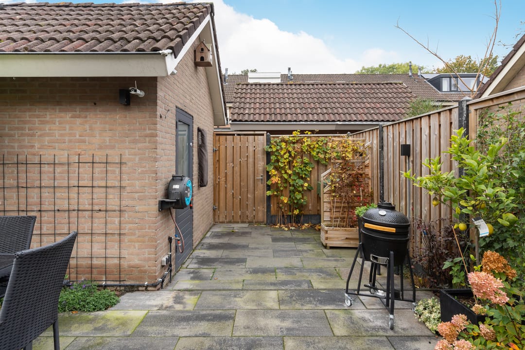 Foto 32 van Rozenerf 8