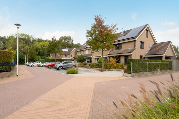 Foto 60 van Rozenerf 8