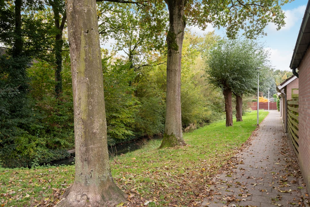 Foto 61 van Rozenerf 8