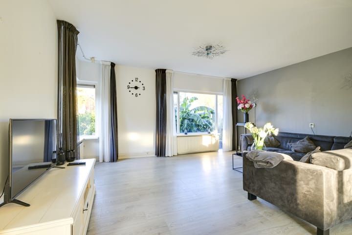 Foto 8 van Slechtvalk 4