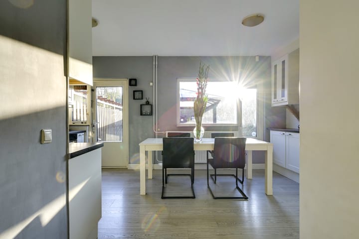 Foto 15 van Slechtvalk 4