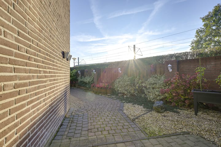 Foto 23 van Slechtvalk 4