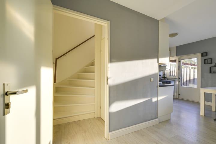 Foto 31 van Slechtvalk 4