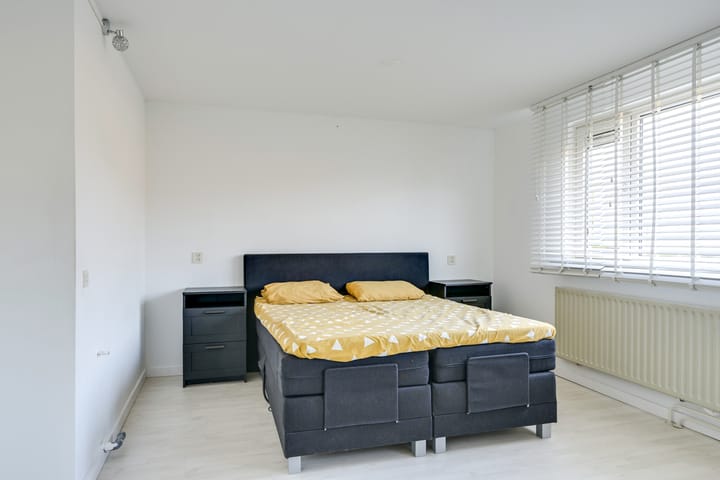 Foto 40 van Slechtvalk 4