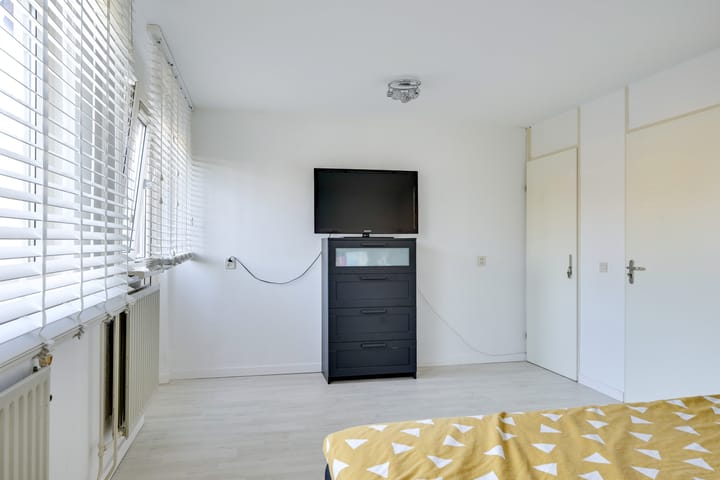 Foto 42 van Slechtvalk 4