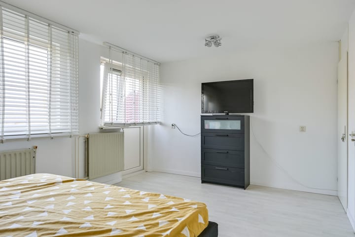 Foto 43 van Slechtvalk 4