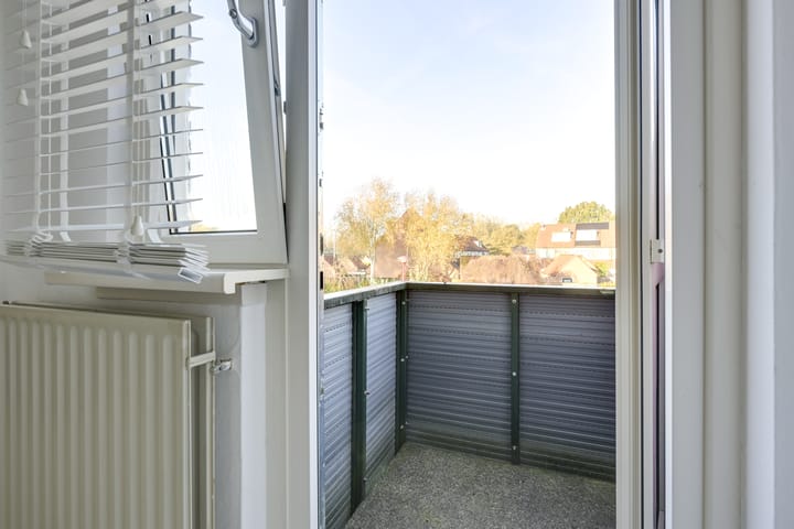 Foto 44 van Slechtvalk 4