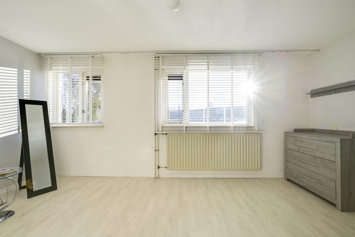 Foto 45 van Slechtvalk 4