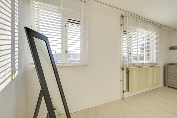 Foto 47 van Slechtvalk 4