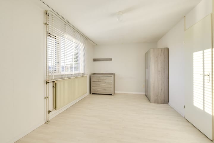 Foto 48 van Slechtvalk 4