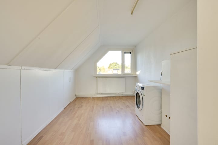 Foto 55 van Slechtvalk 4