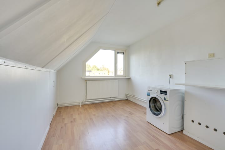 Foto 56 van Slechtvalk 4