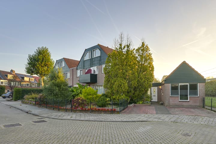 Foto 62 van Slechtvalk 4