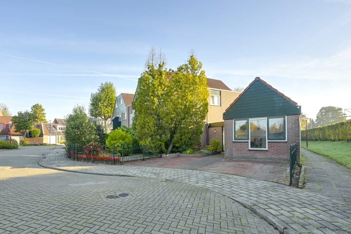 Foto 66 van Slechtvalk 4