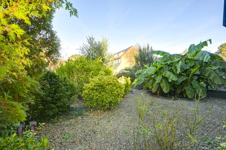 Foto 67 van Slechtvalk 4