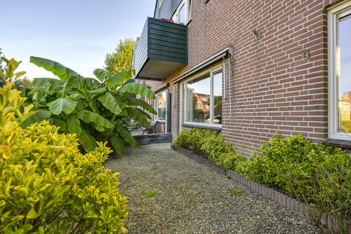 Foto 68 van Slechtvalk 4