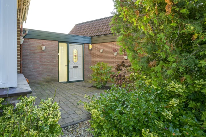 Foto 69 van Slechtvalk 4