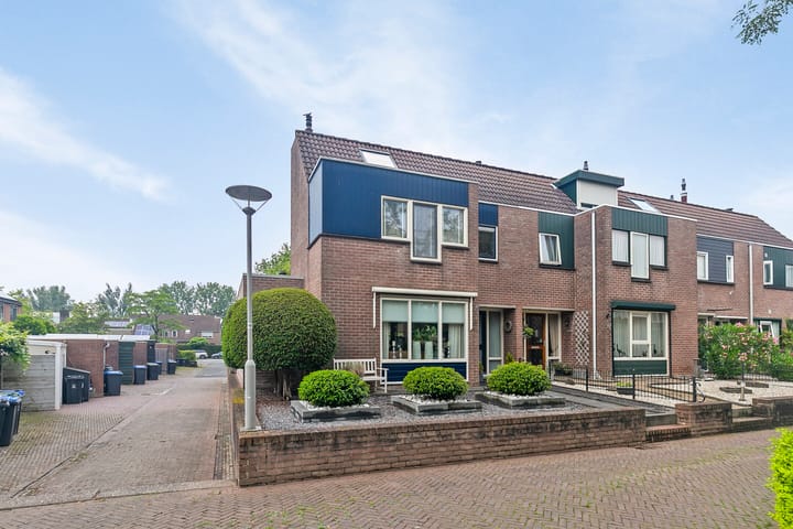 undefined main image