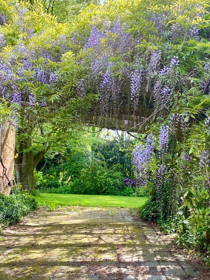 Foto 53 van Hoofdstraat 35