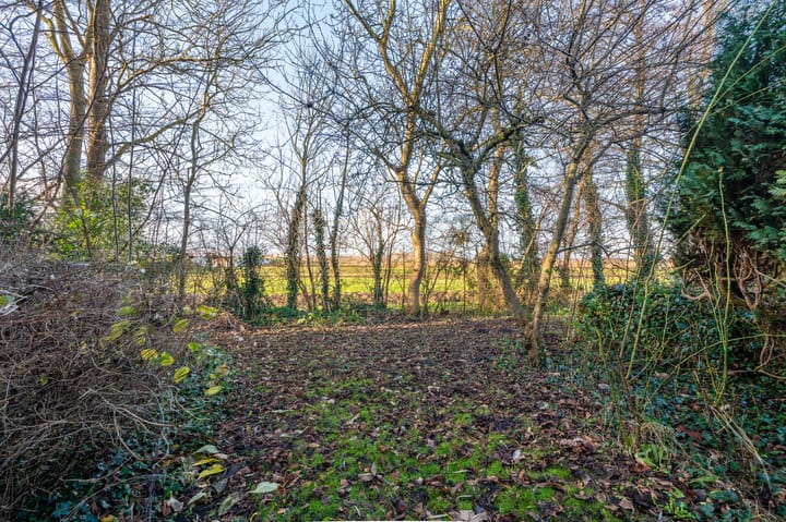 Foto 59 van Hoofdstraat 35