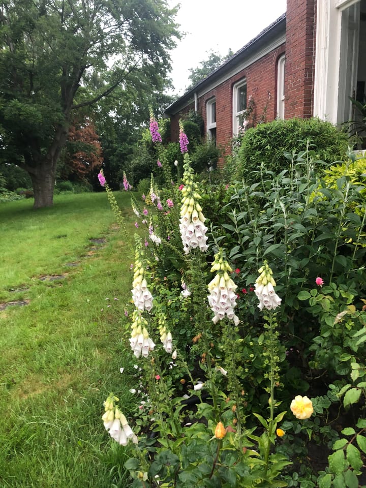 Foto 64 van Hoofdstraat 35