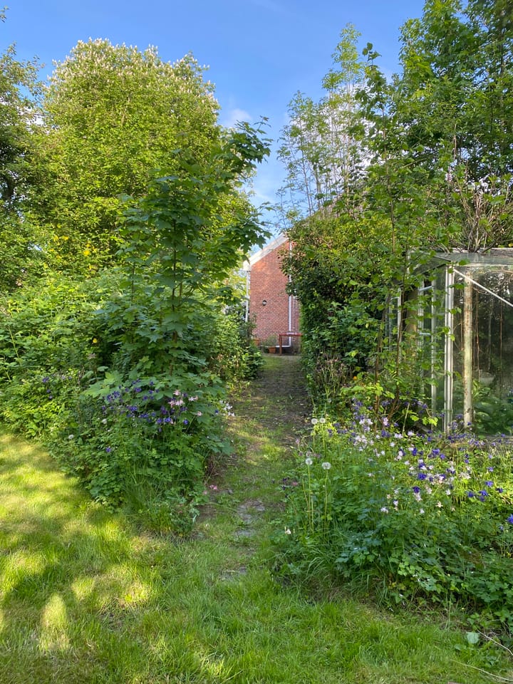 Foto 66 van Hoofdstraat 35