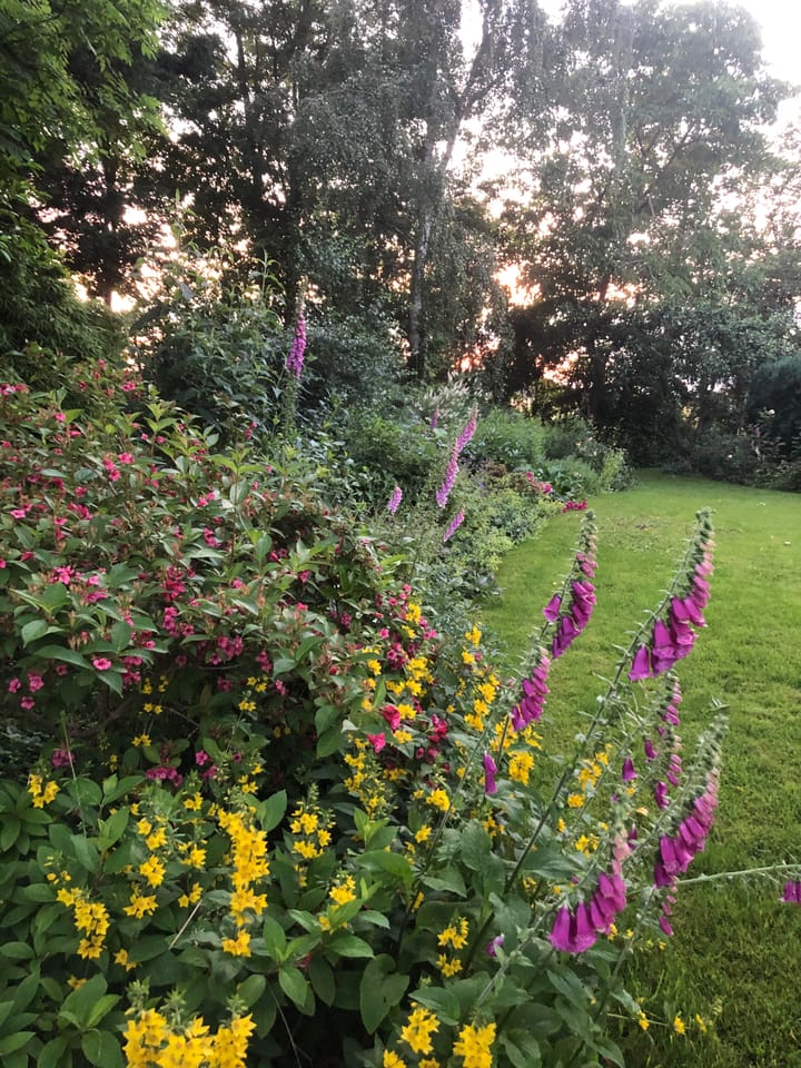 Foto 68 van Hoofdstraat 35