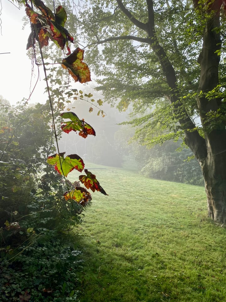 Foto 70 van Hoofdstraat 35