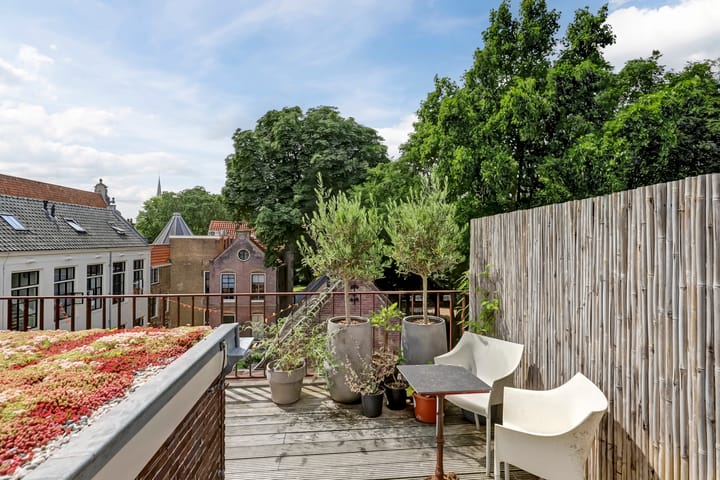 Foto 27 van Raoul Wallenbergplantsoen 16