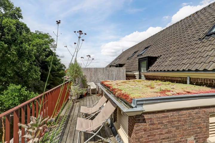 Foto 28 van Raoul Wallenbergplantsoen 16