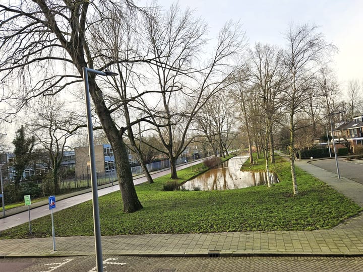 Foto 29 van Van der Helmstraat 456