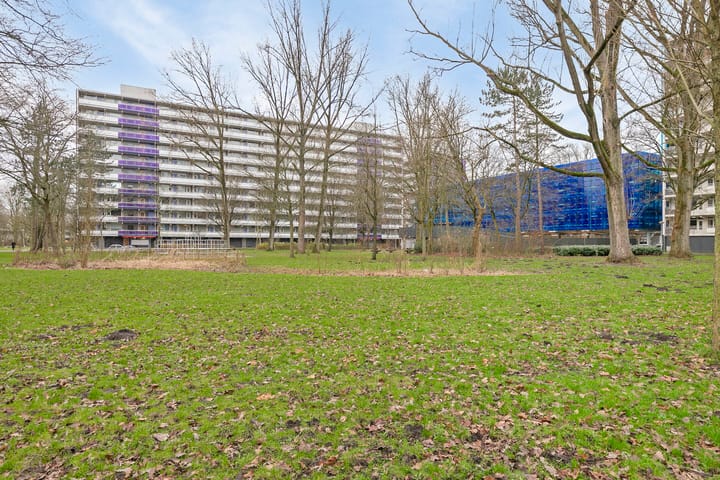 Foto 33 van Petmolen 23