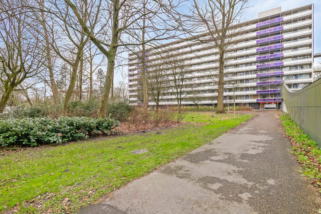 Photo 41 of Petmolen 23