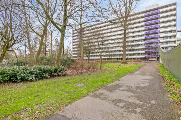 Foto 41 van Petmolen 23