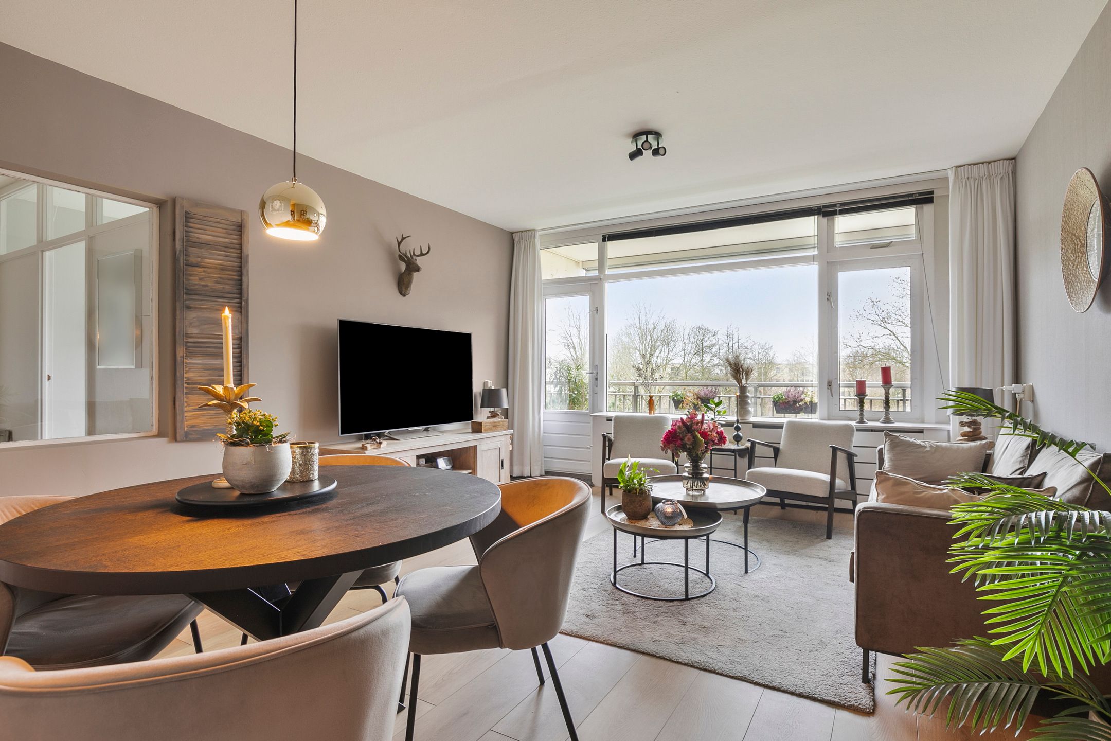 Photo 9 of Petmolen 23